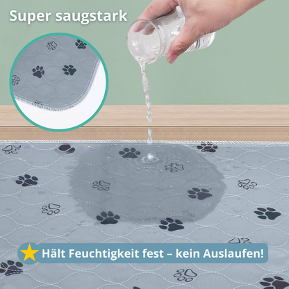 PipiMatte - Die saugstärkste Hundematte