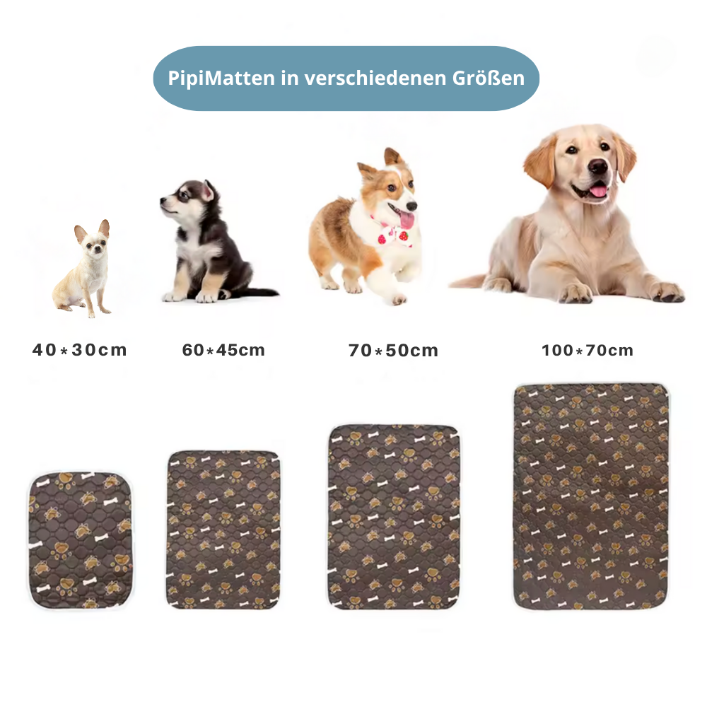 PipiMatte - Die saugstärkste Hundematte