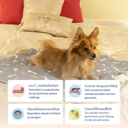 PipiMatte - Die saugstärkste Hundematte