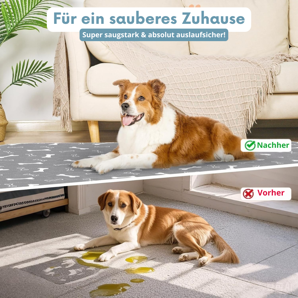 PipiMatte - Die saugstärkste Hundematte