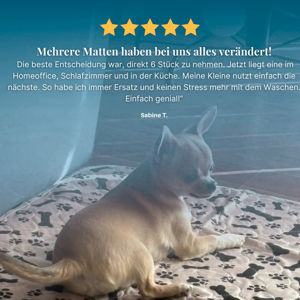PipiMatte - Die saugstärkste Hundematte