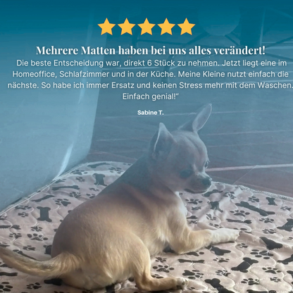 PipiMatte - Die saugstärkste Hundematte