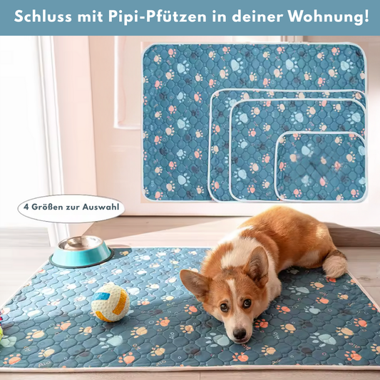 PipiMatte - Die saugstärkste Hundematte